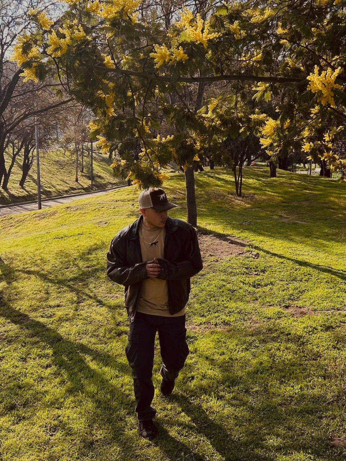 6c854a33 df65 448d 9351 c4c6e7e91193